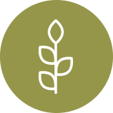 Environment and Nature icon